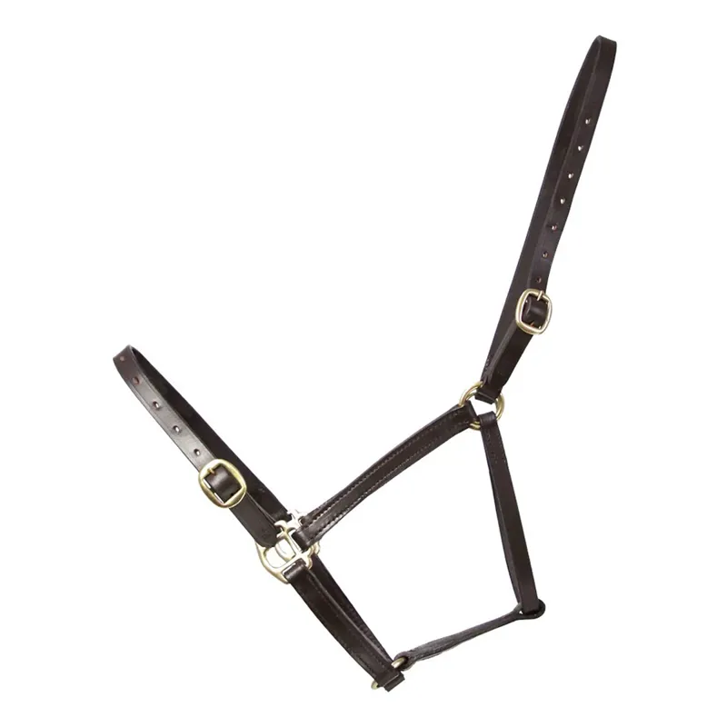 Hy Equestrian Leather Foal Headcollar - Brown